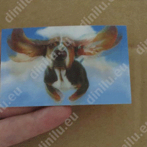 individueller Lentikulardruck als Visitenkarte (54x86mm) image